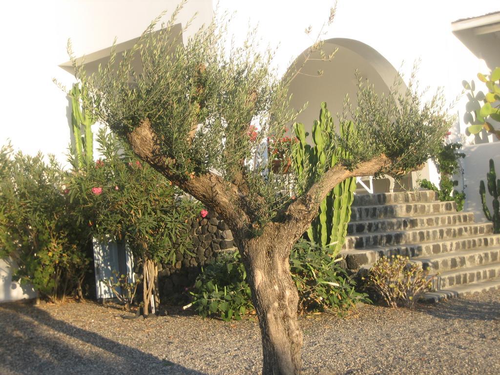 Apartment Sun Anemos Ia